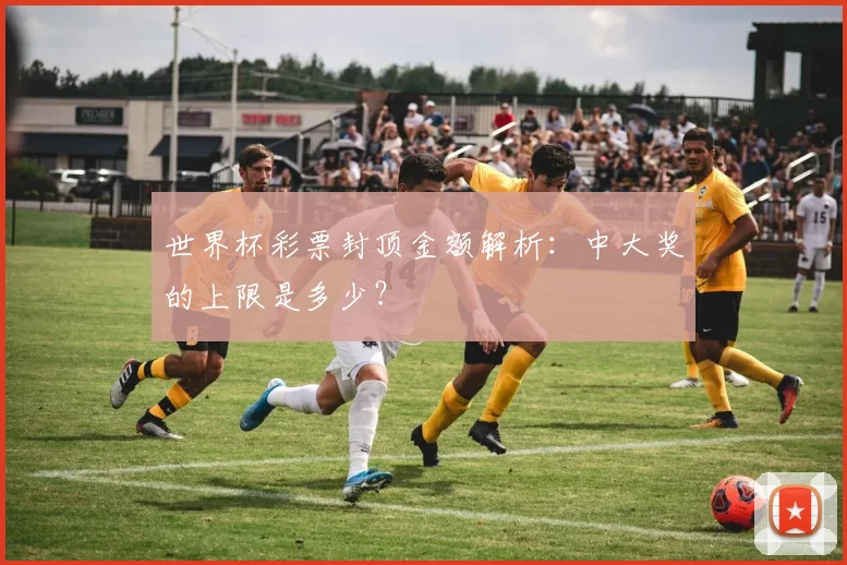 世界杯彩票封顶金额解析：中大奖的上限是多少？