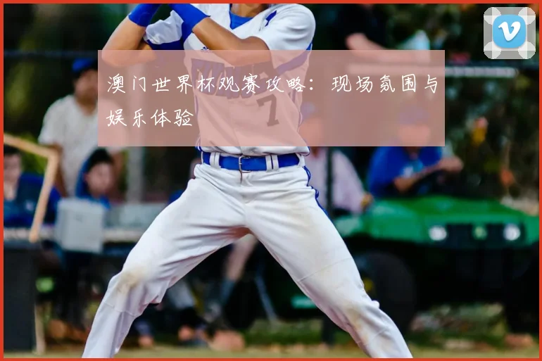 澳门世界杯观赛攻略：现场氛围与娱乐体验