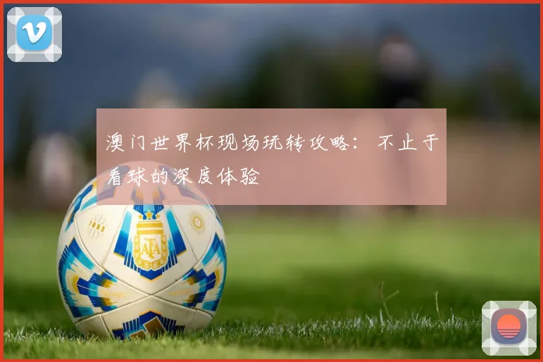 澳门世界杯现场玩转攻略：不止于看球的深度体验